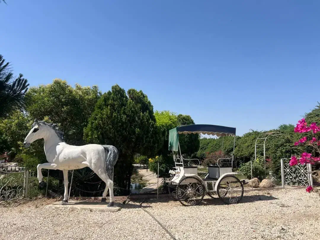 باغ تالار پذیرایی نامزدی عقد تولد مهمانی|خدمات پذیرایی، مراسم|قرچک, شهرک طلائیه|دیوار