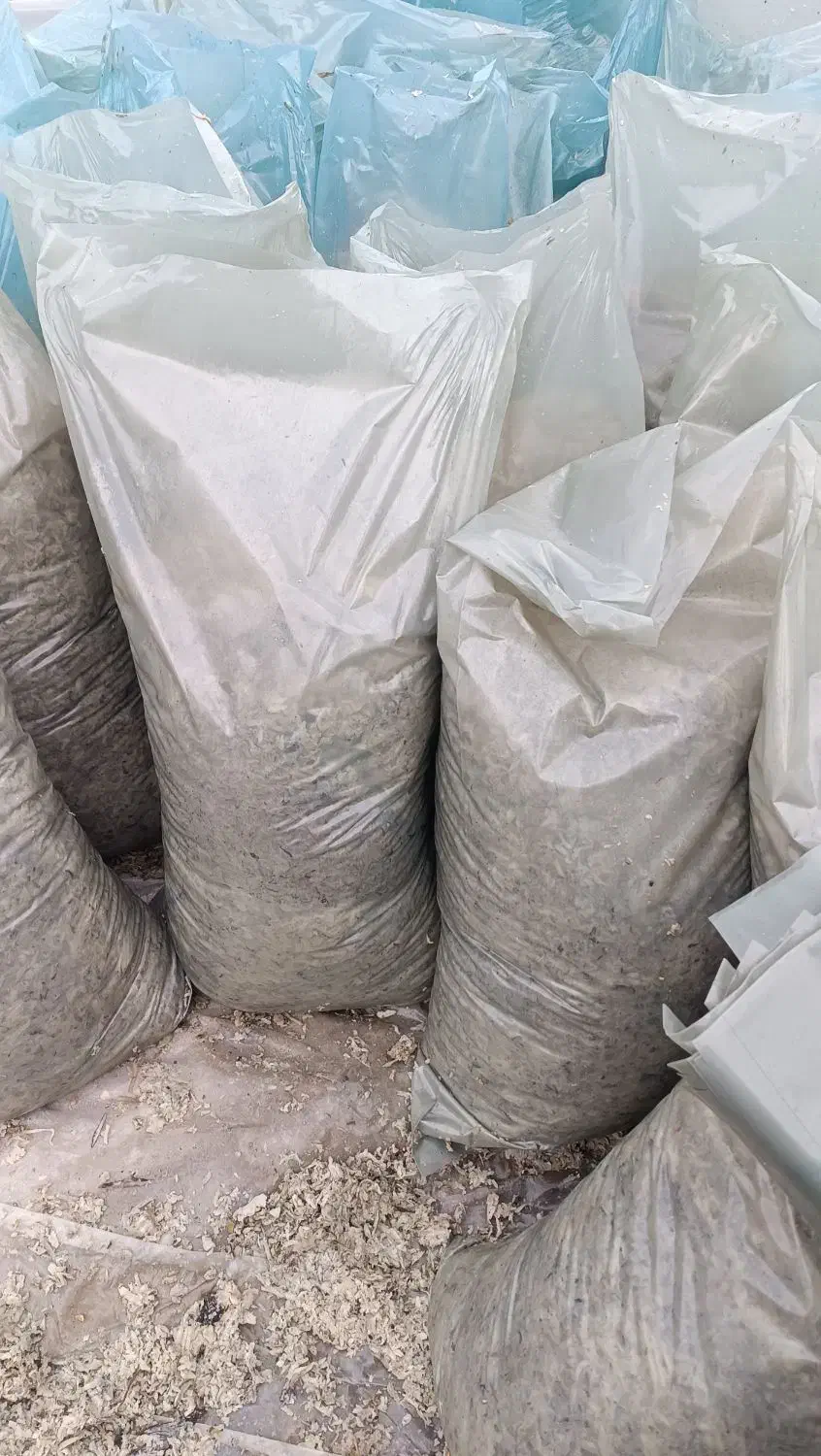 تفاله چغندر|لوازم جانبی حیوانات|خنداب, |دیوار