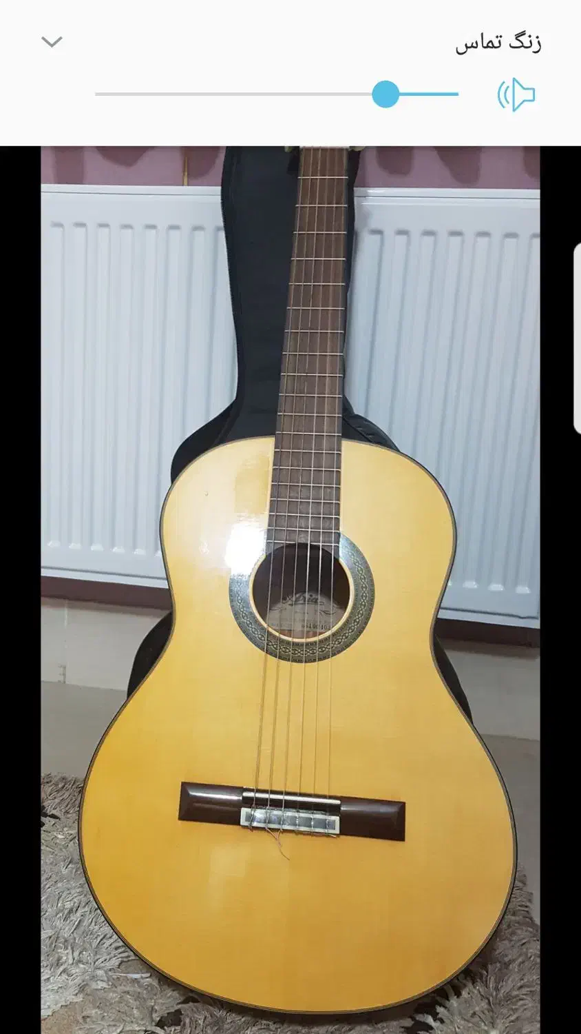 گیتار کلاسیک|گیتار، بیس، امپلیفایر|تهران, دانشگاه شریف|دیوار