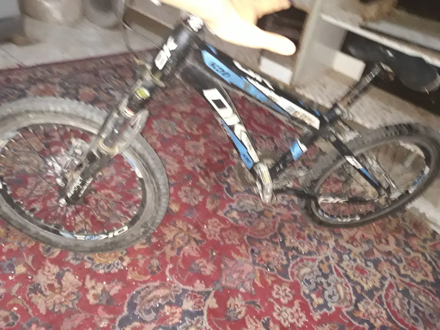 دوچرخه|دوچرخه، اسکیت، اسکوتر|اهواز, دغاغله|دیوار