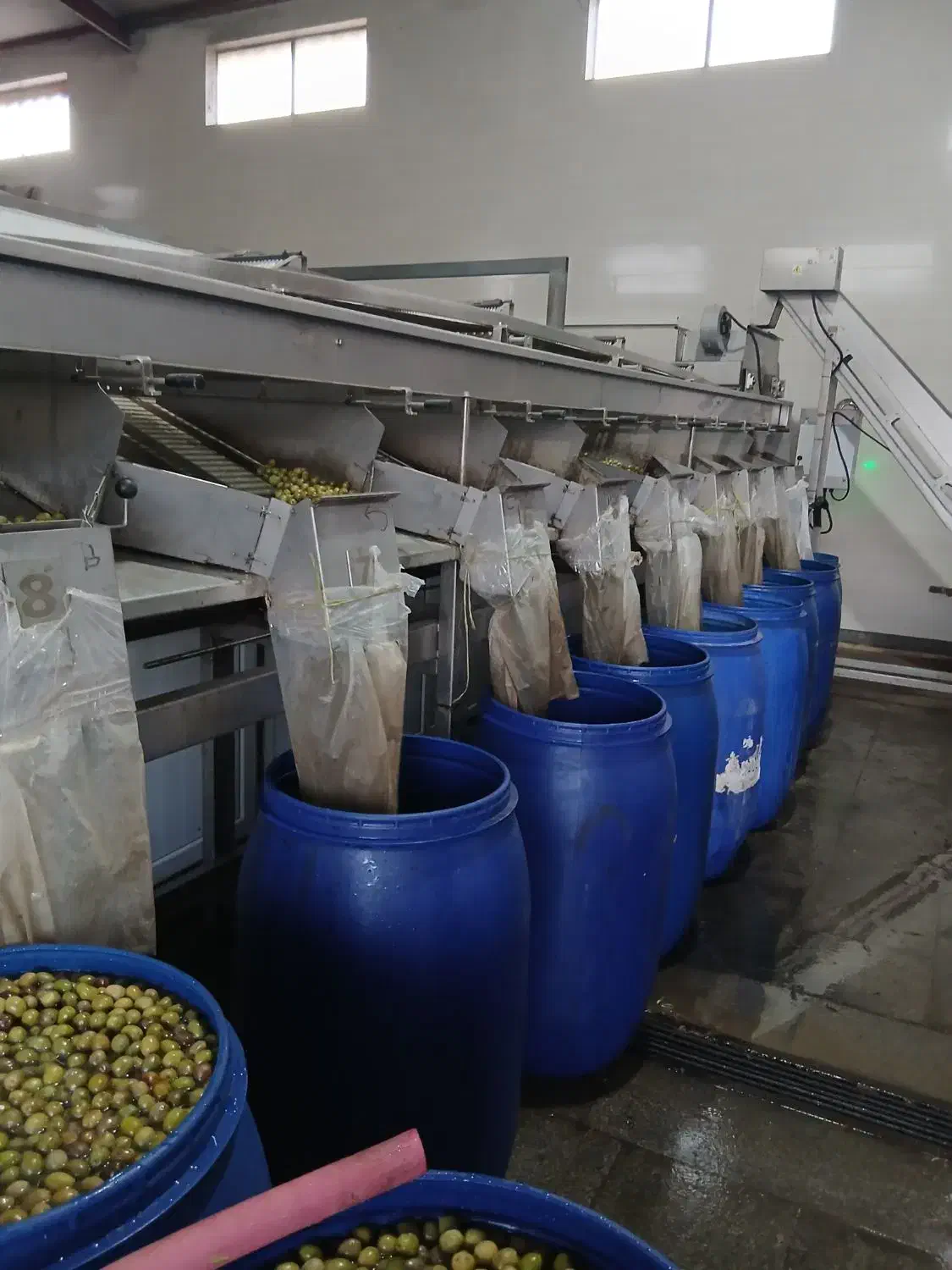 نیروی کار در شرکت زیتون|استخدام صنعتی، فنی، مهندسی|گیلوان, |دیوار