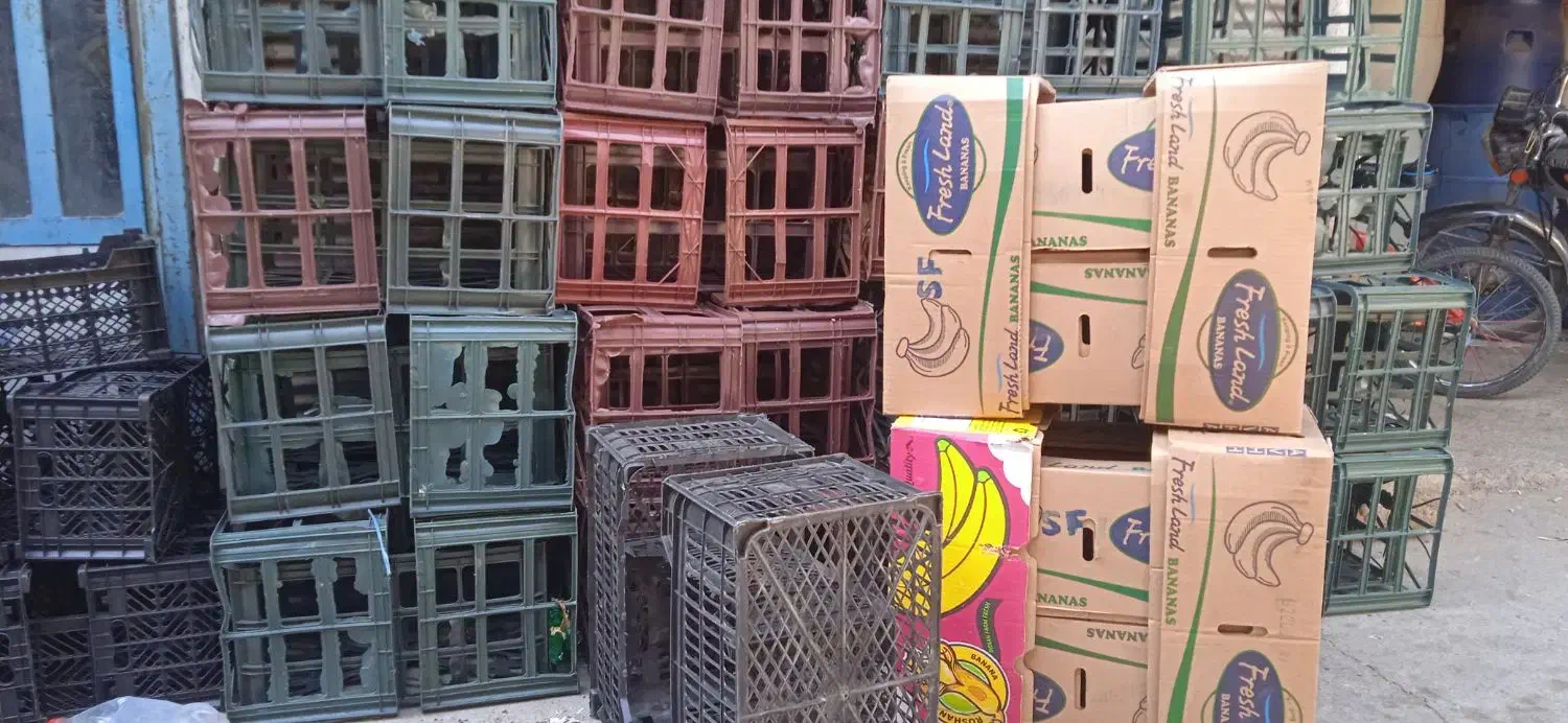 سبد کاهو ، کارتن موزی|فروشگاه و مغازه|دزفول, |دیوار