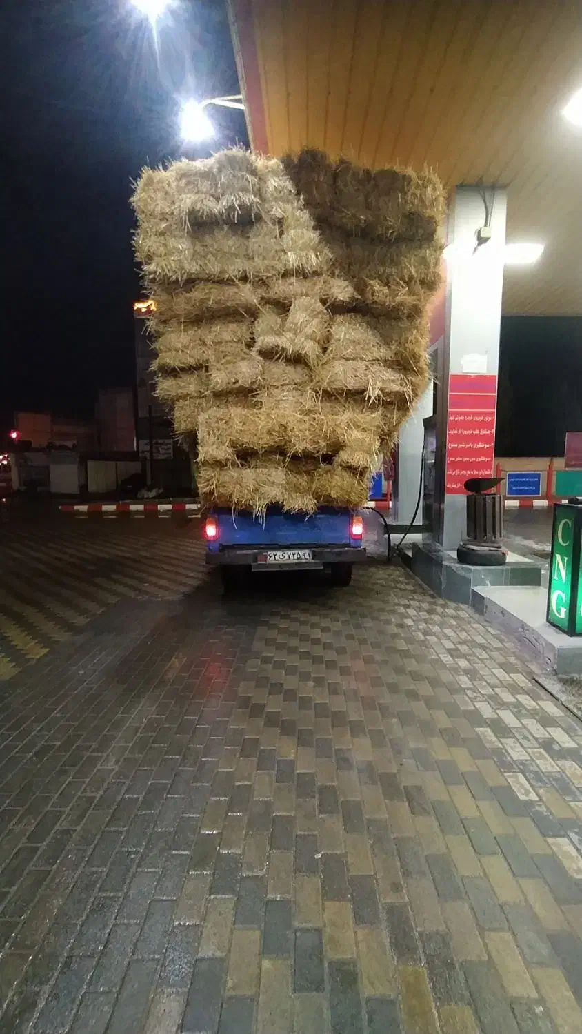 کاه برنج کاه جو یونجه علف|حیوانات مزرعه|حویق, |دیوار