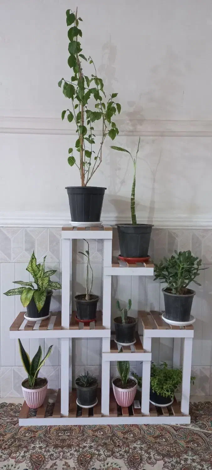 حراج استند گل|کتابخانه، شلف، قفسه‌های دیواری|زابل, |دیوار