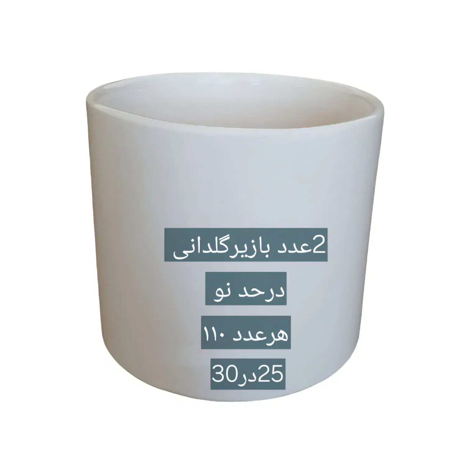 گلدان سرامیکی|گل و گیاه طبیعی|شیراز, شاه قلی بیگی|دیوار