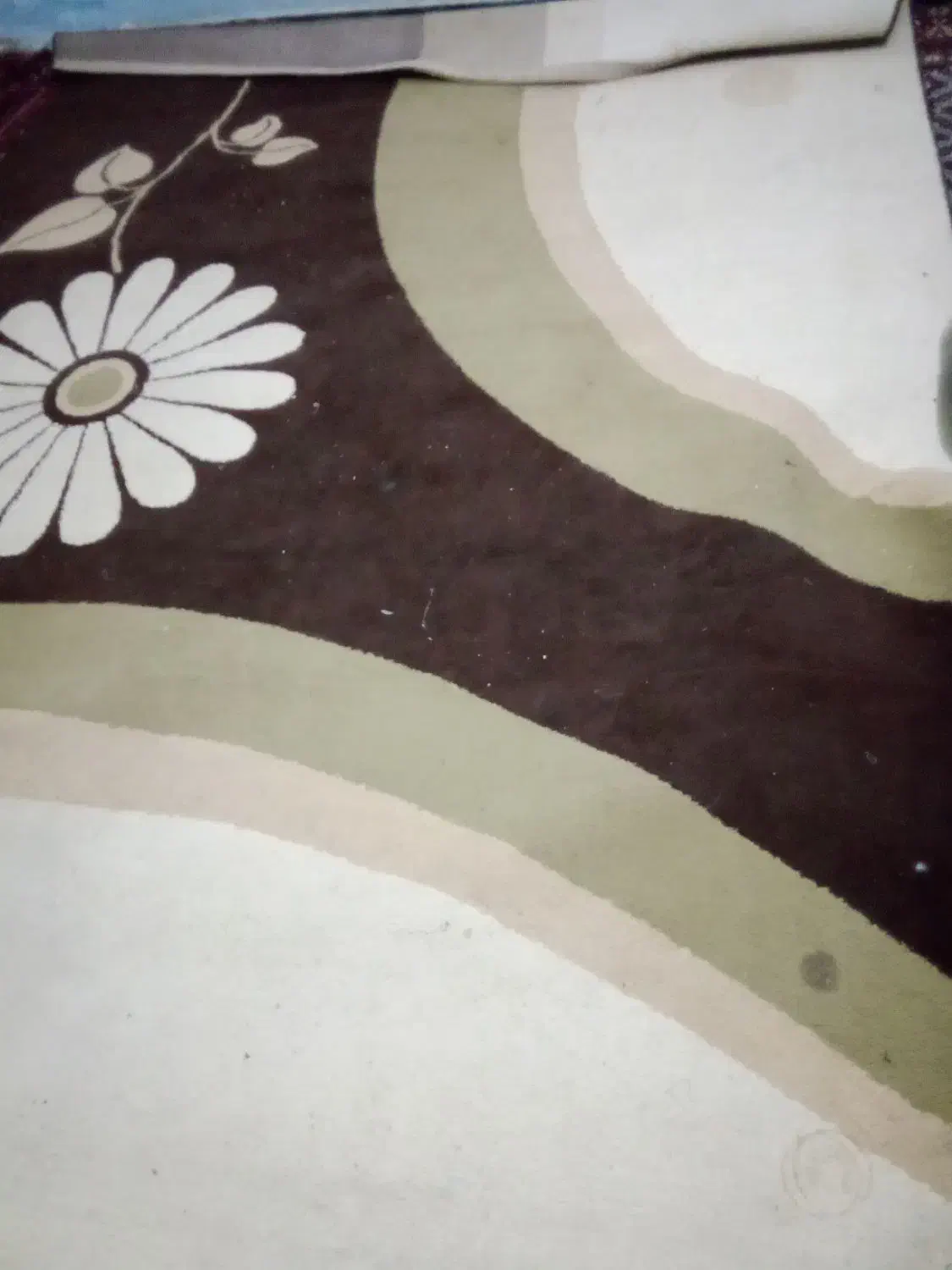 گلیم فرش|گلیم، جاجیم، گبه|زاهدان, |دیوار