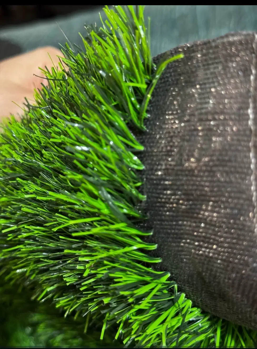 چمن به قیمت درب کارخانه مارک باران|خدمات باغبانی و درختکاری|اهواز, زرگان|دیوار