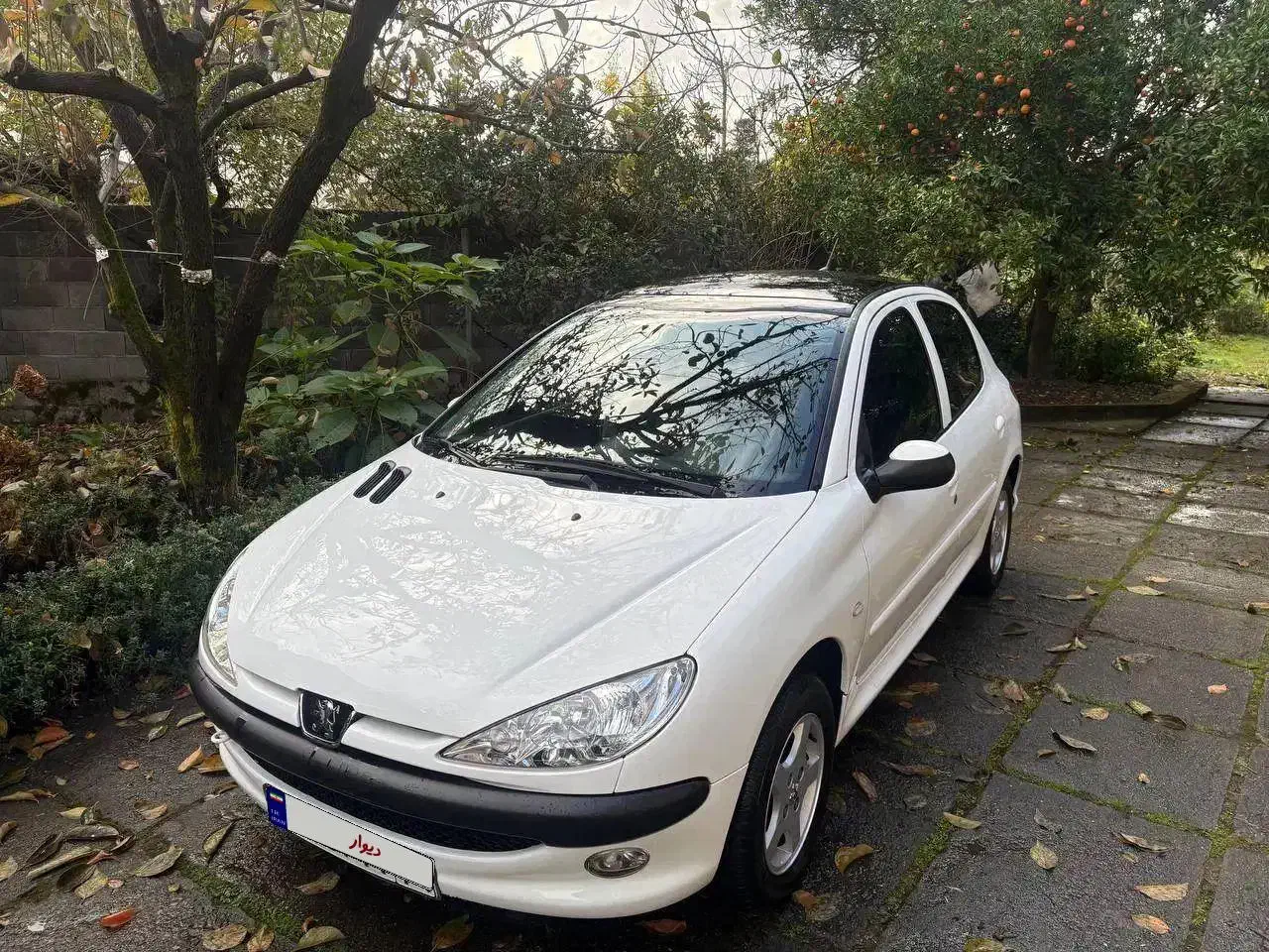 206 پانا بی رنگ|خودرو سواری و وانت|قزوین, |دیوار