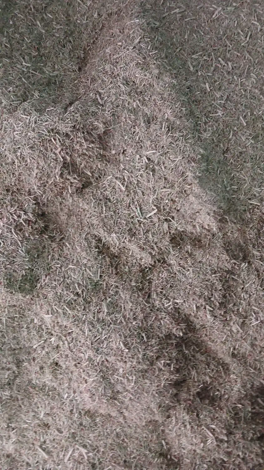 خار|لوازم جانبی حیوانات|رضویه, |دیوار