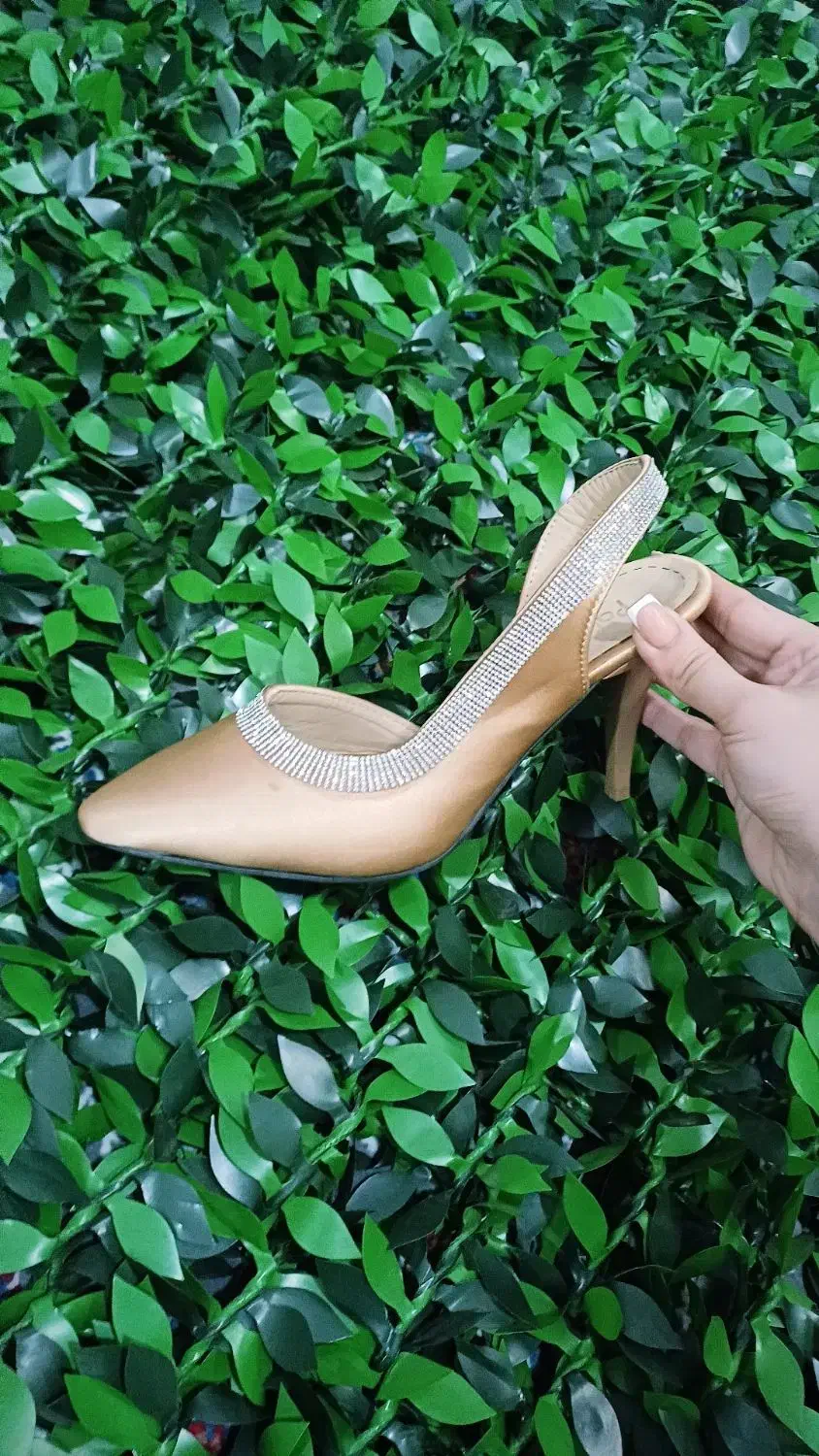 کفش مجلسی|کیف، کفش، کمربند|بهارستان, |دیوار