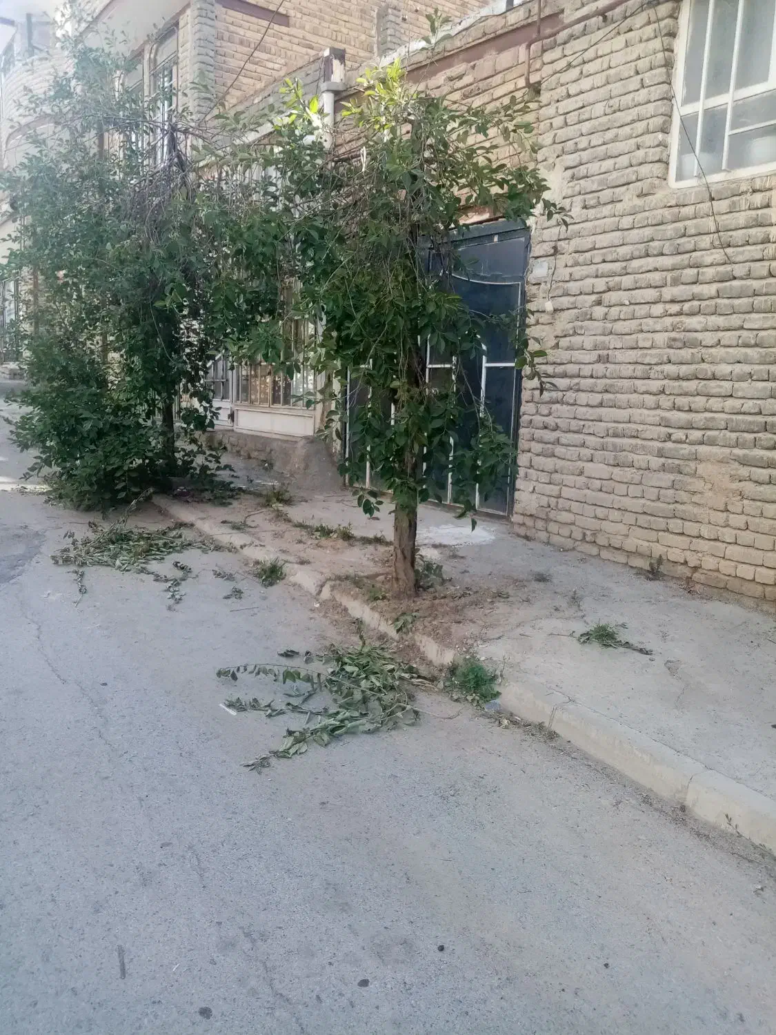 برای مغازه ودفتر وانباری اجاره در اندیشه ای ثار|اجارهٔ مغازه و غرفه|ارومیه, |دیوار