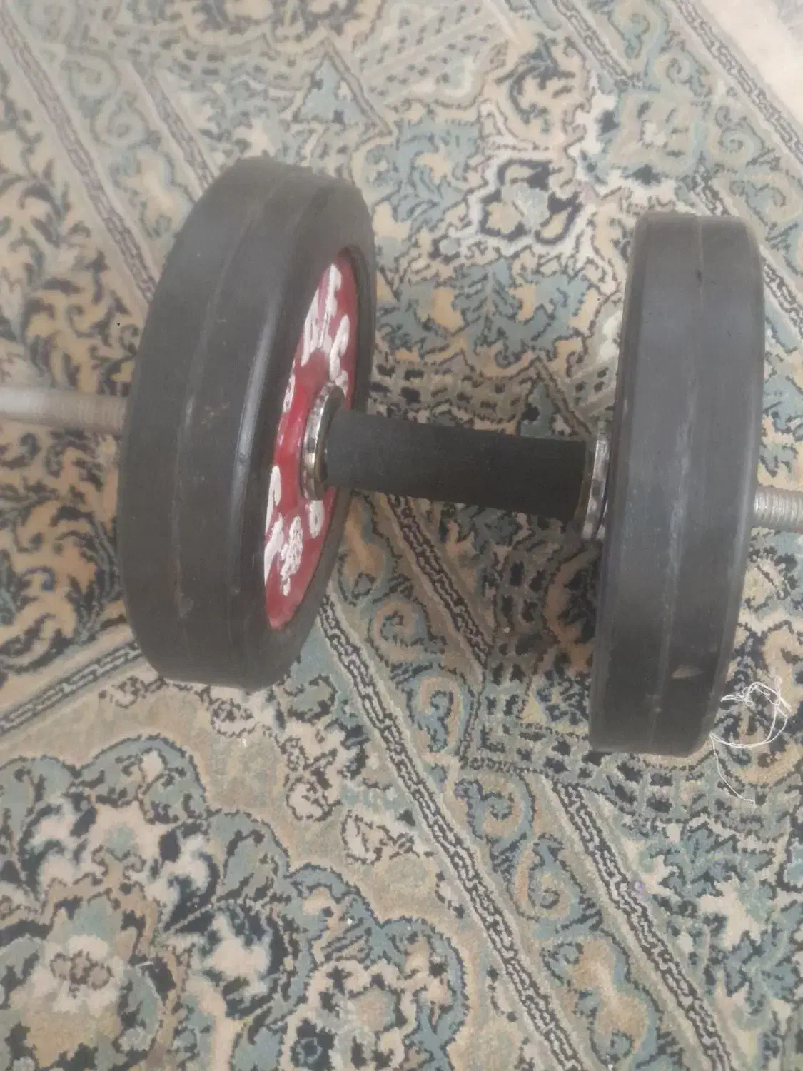 دمبل|تجهیزات ورزشی|شیراز, دباغ خانه|دیوار