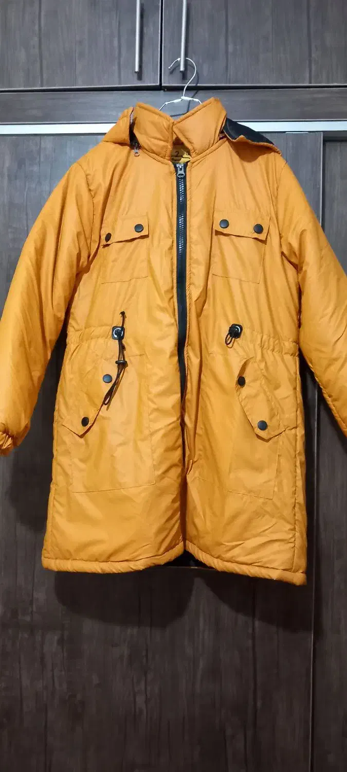 کاپشن|لباس|سبزوار, امیر کبیر|دیوار