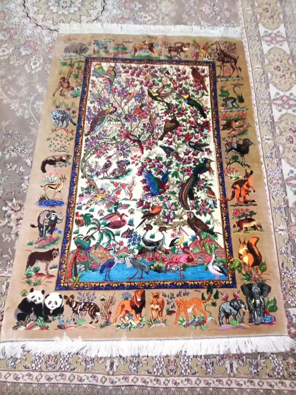 ، قالی تمام ابریشم ذرع و نیم|فرش|قم, نیروگاه|دیوار