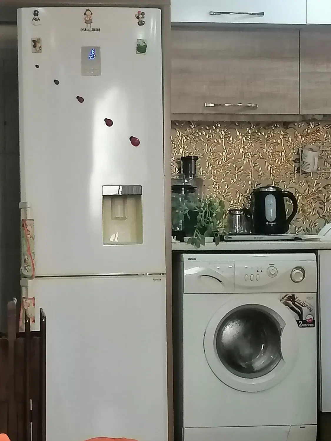 یخچال فریزر سامسونگ اصل کره|یخچال و فریزر|رشت, جهاد|دیوار