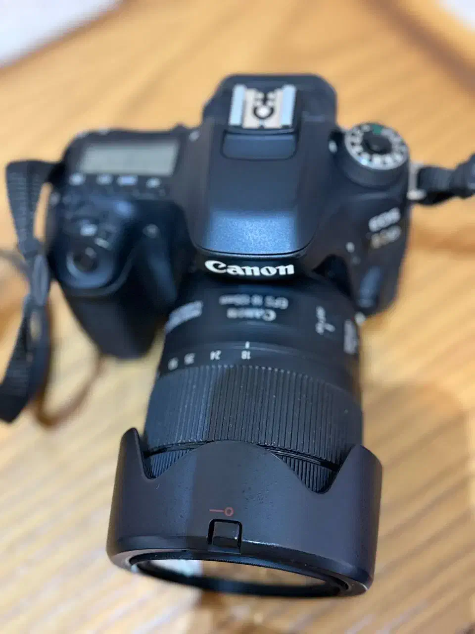 دوربین عکاسی canon80d.|دوربین عکاسی و فیلم‌برداری|مشهد, فارغ التحصیلان|دیوار
