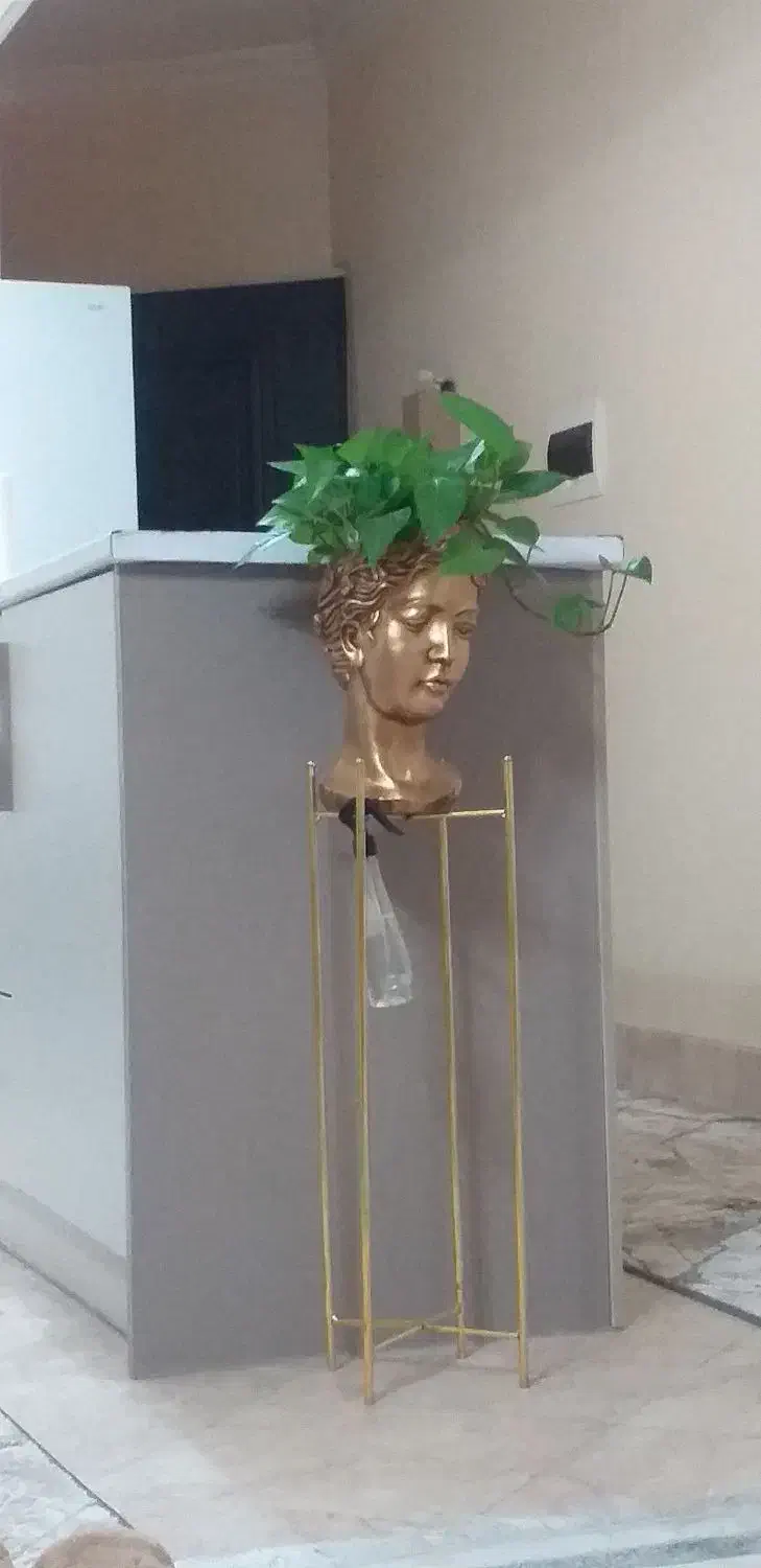 گلدان رخ پتوس با پایه|گل و گیاه طبیعی|قم, انسجام|دیوار