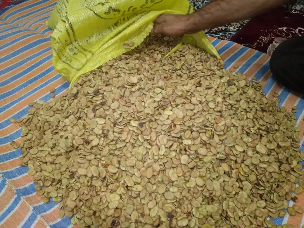 سلام فروش بذر باقلا فروشی ارمو|خدمات باغبانی و درختکاری|ایلام, |دیوار