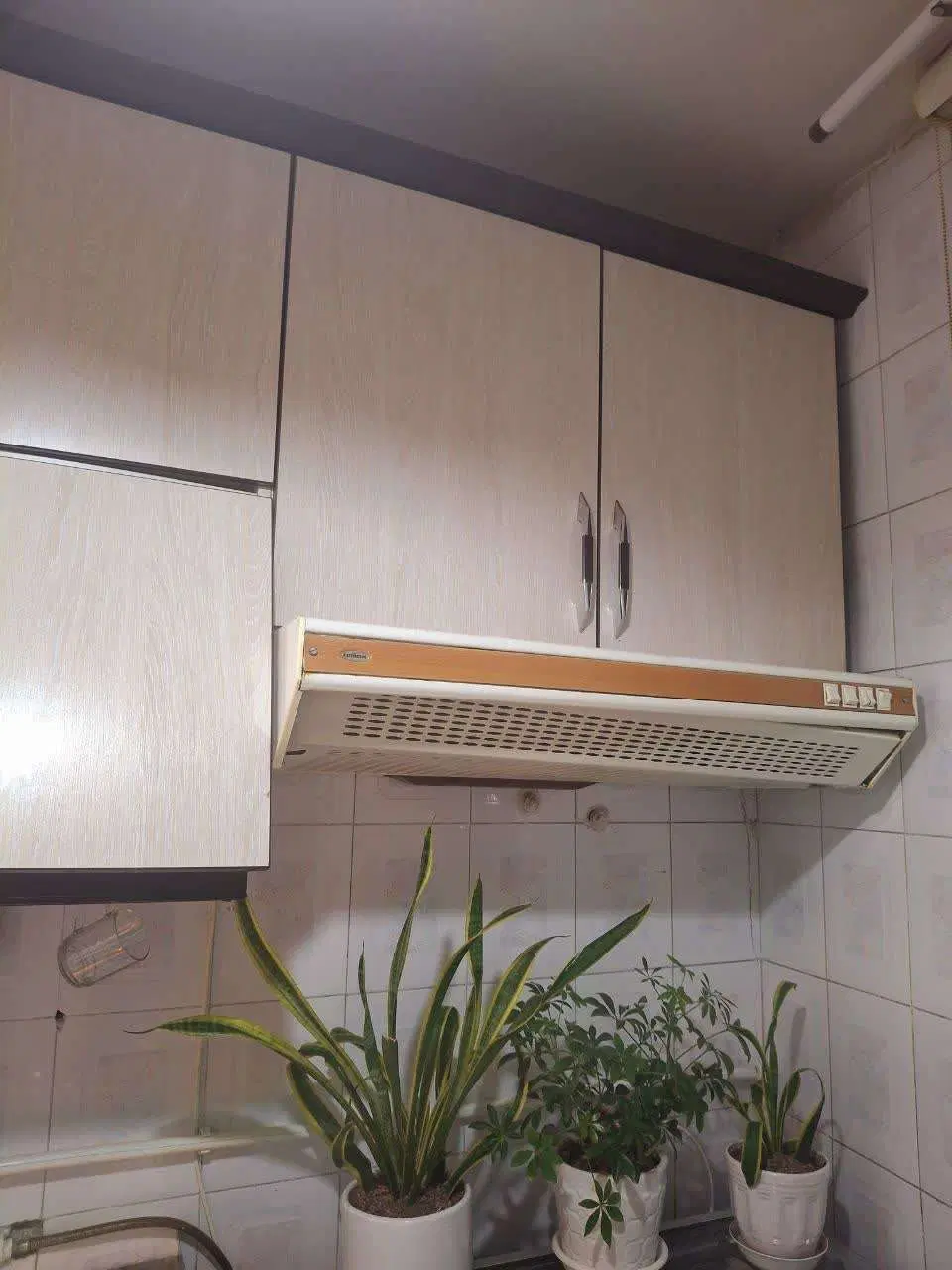 کابینت MDF|جاکفشی، کمد، دراور|تهران, اسفندیاری|دیوار