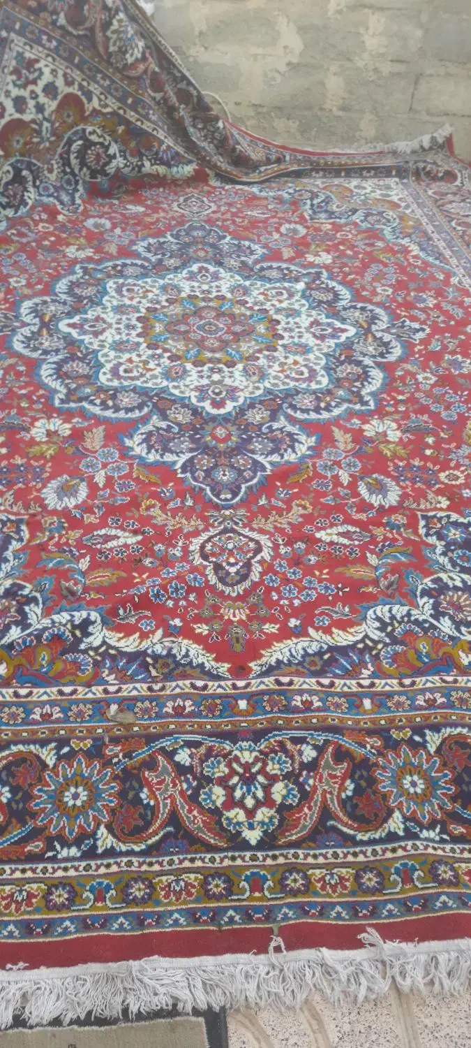 فرش|فرش|گلبهار, نوبهار|دیوار