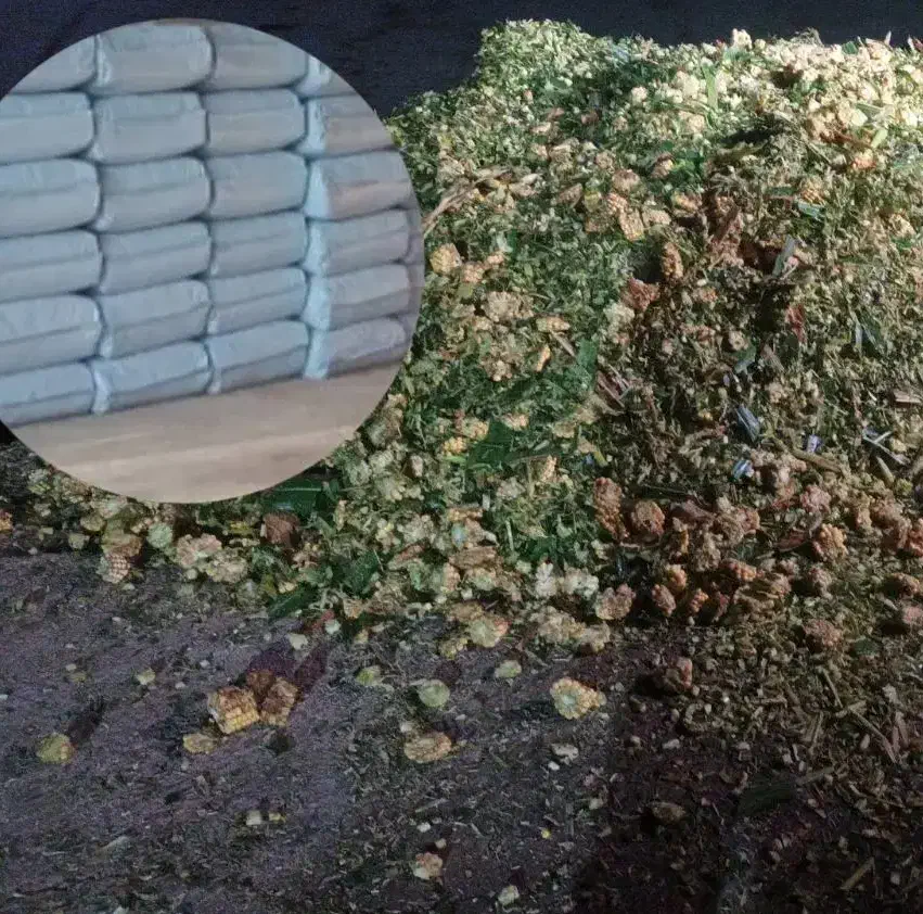 ذرت علوفه بسته بندی|عمدهفروشی|یامچی, |دیوار