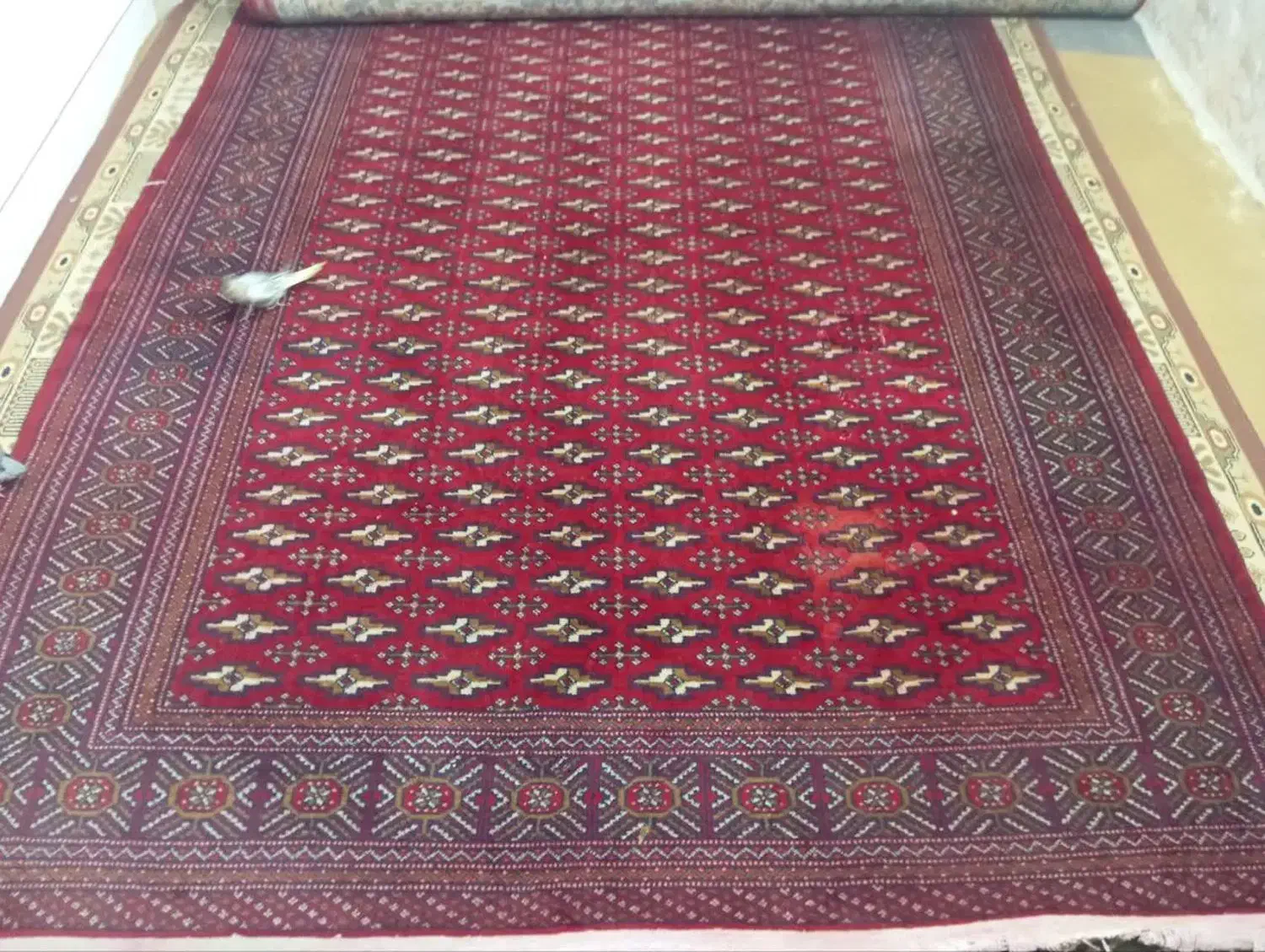 فرش|فرش|مشهد, شفا|دیوار