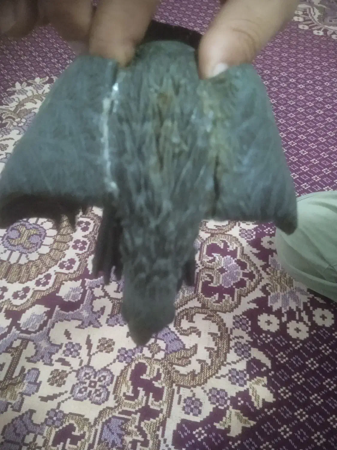 قرقی آویز ایرانی|کلکسیون اشیاء عتیقه|سهند, |دیوار