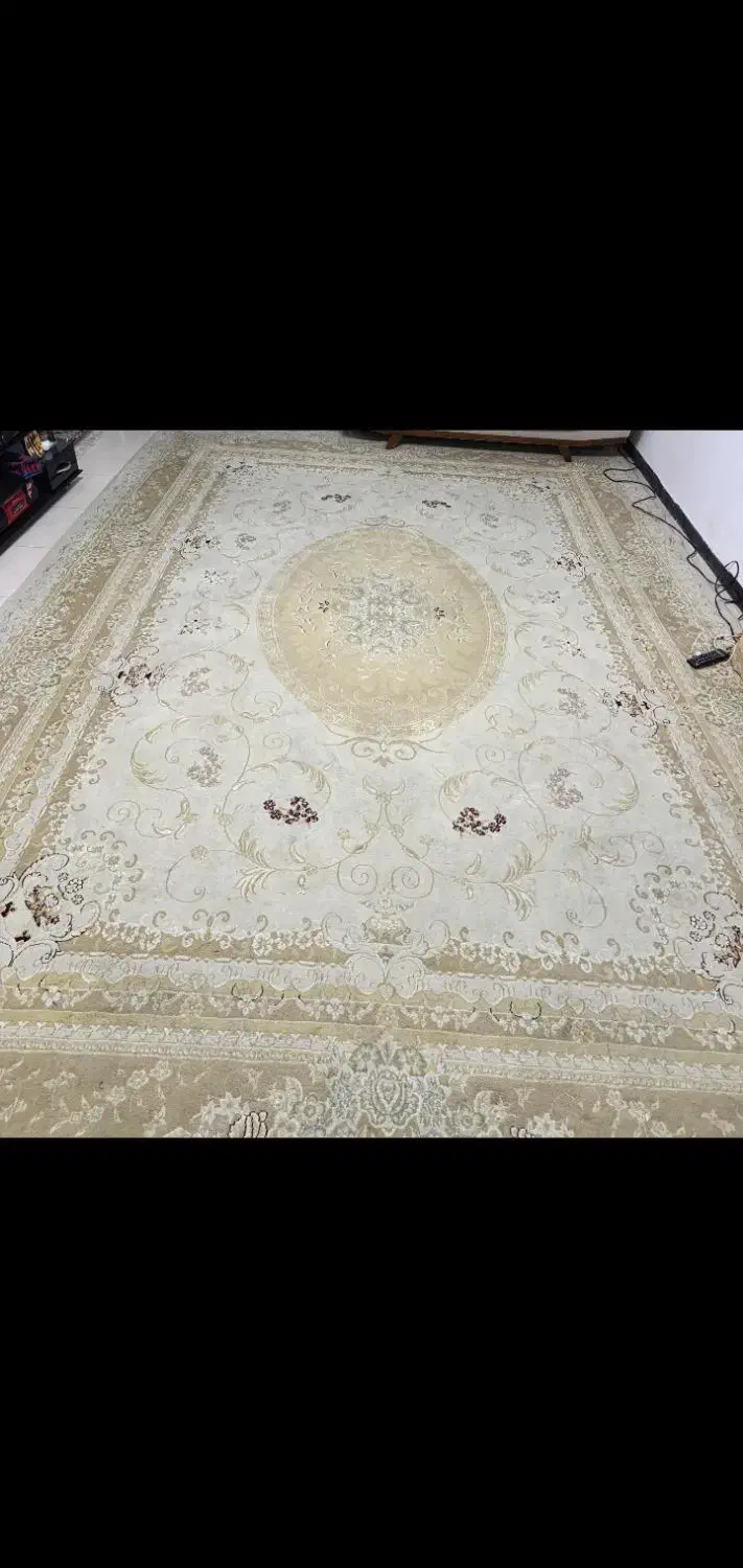 فرش|فرش|شیراز, حومه شیراز|دیوار