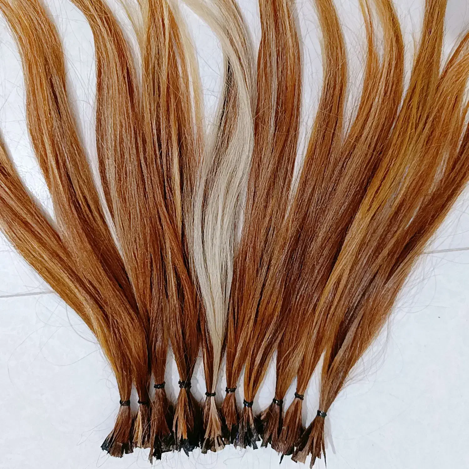 موی طبیعی|آرایشگاه و سالن‌های زیبایی|رشت, بیجارپس|دیوار