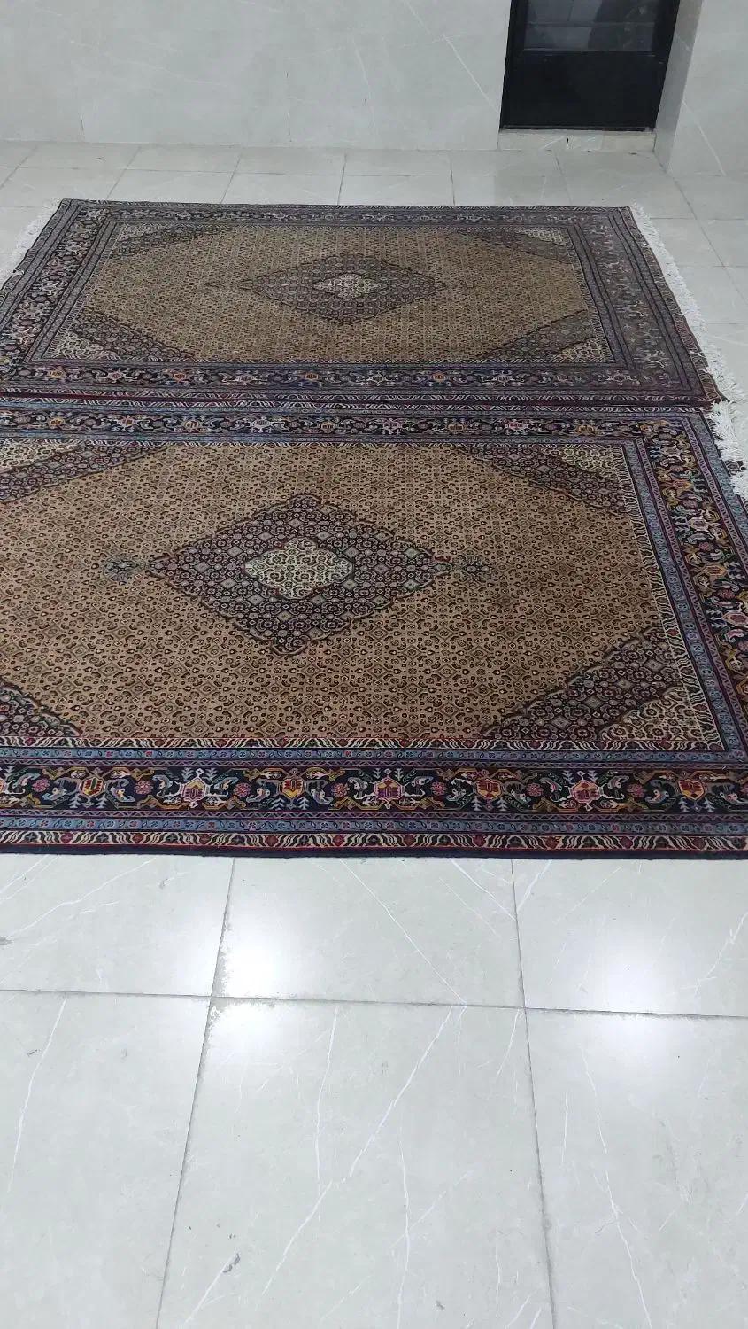 فرش طبیعی ۶ متری|فرش|اردبیل, |دیوار
