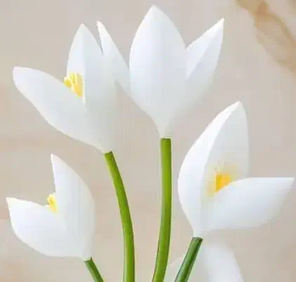 null