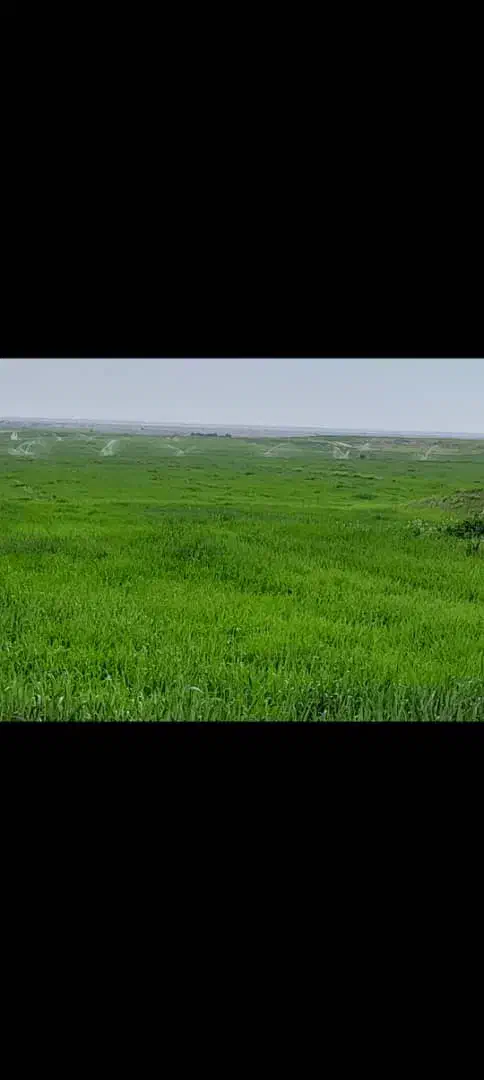 فروش و معاوضه ۱۰ هکتار در دشت العباس|فروش دفتر صنعتی، کشاورزی، تجاری|اهواز, آریاشهر|دیوار