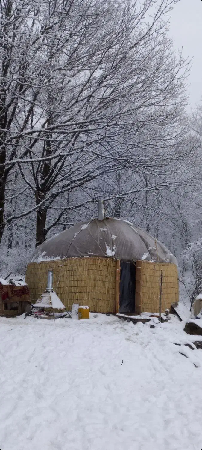 دو عدد آلاچیق ترکمنی|گلیم، جاجیم، گبه|گنبد کاووس, |دیوار
