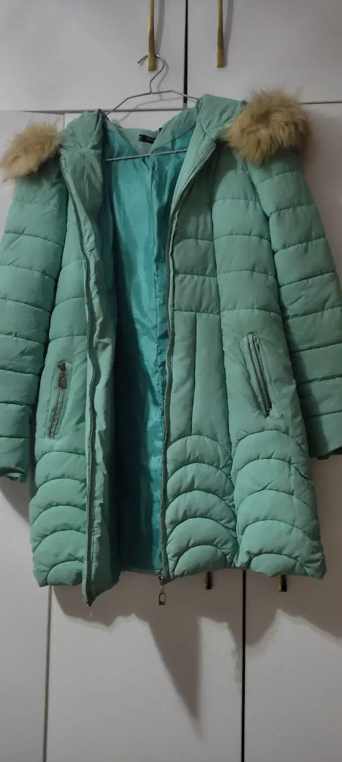 کاپشن وپافر|لباس|پردیس, فاز ۴|دیوار