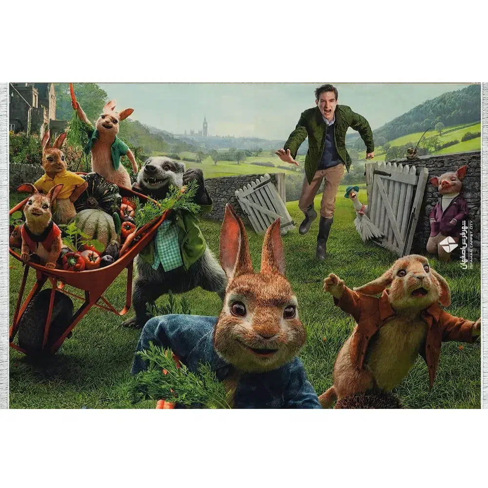 پرده،فرش،پادری|پرده، رانر، رومیزی|قم, باغ کرباسی|دیوار