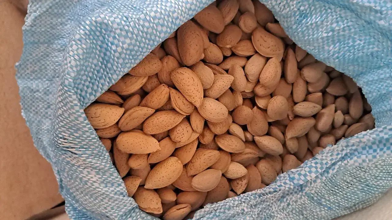 گردو و بادام تحویل درب منزل|خوردنی و آشامیدنی|شاهین‌شهر, شهرک گلدیس|دیوار