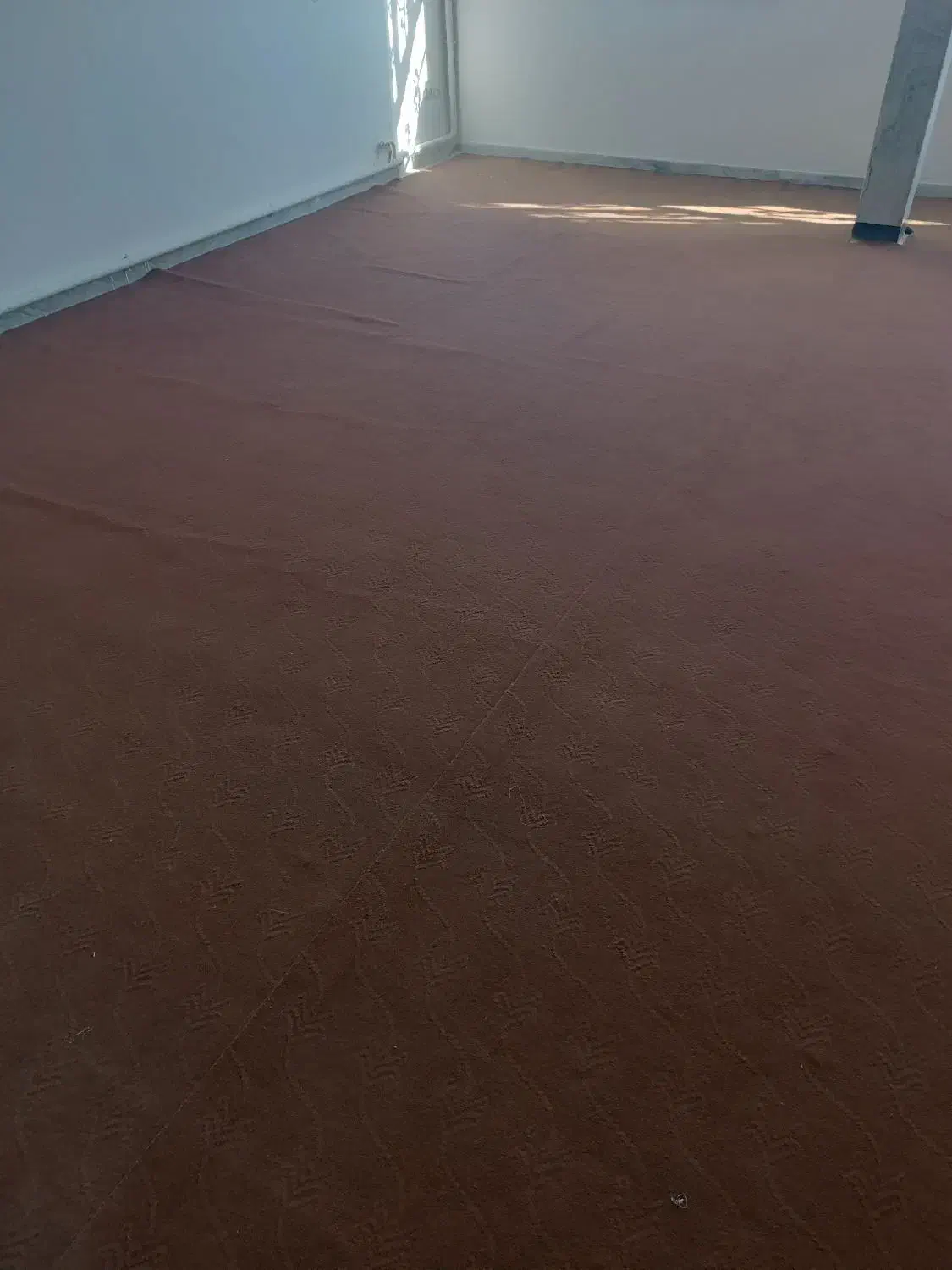 یک جفت موکت|موکت|ابهر, |دیوار