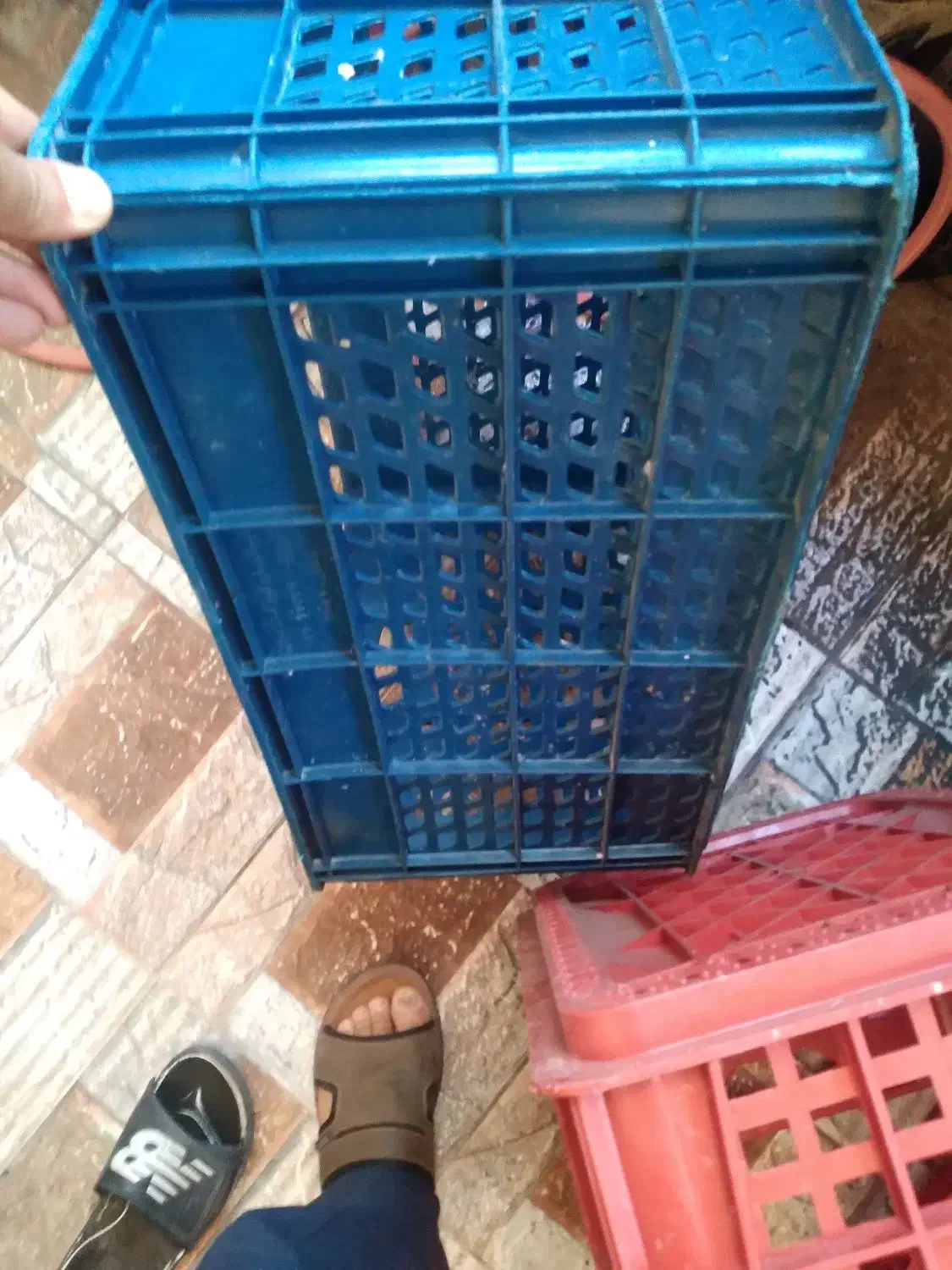 سبد بزرگ|ظروف نگهدارنده، پلاستیکی، یکبارمصرف|اهواز, بیست متری شهرداری|دیوار