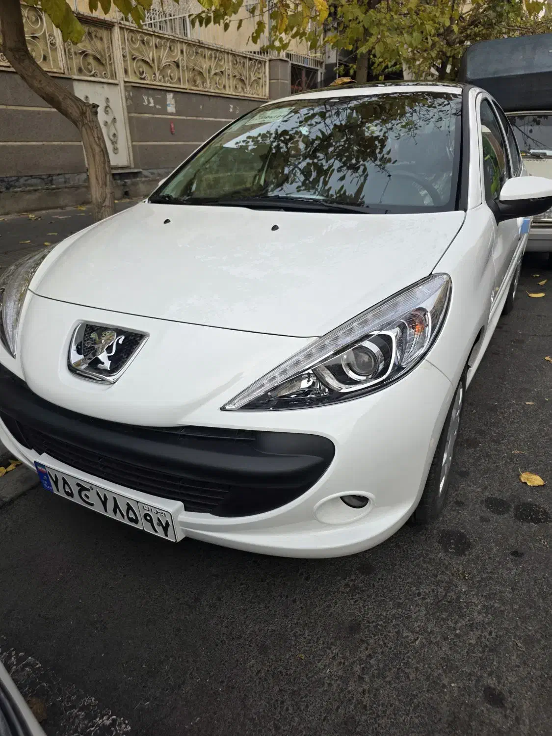 ۲۰۷ دنده ای پاناروما|خودرو سواری و وانت|تهران, درختی|دیوار