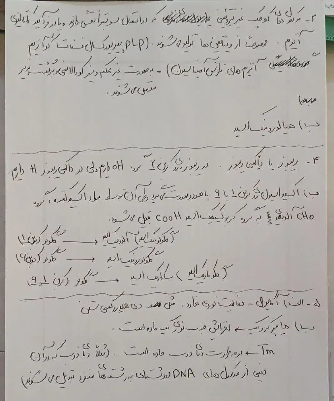 حل امتحان تمامی دروس دانشگاه|خدمات آموزشی|تهران, صادقیه|دیوار