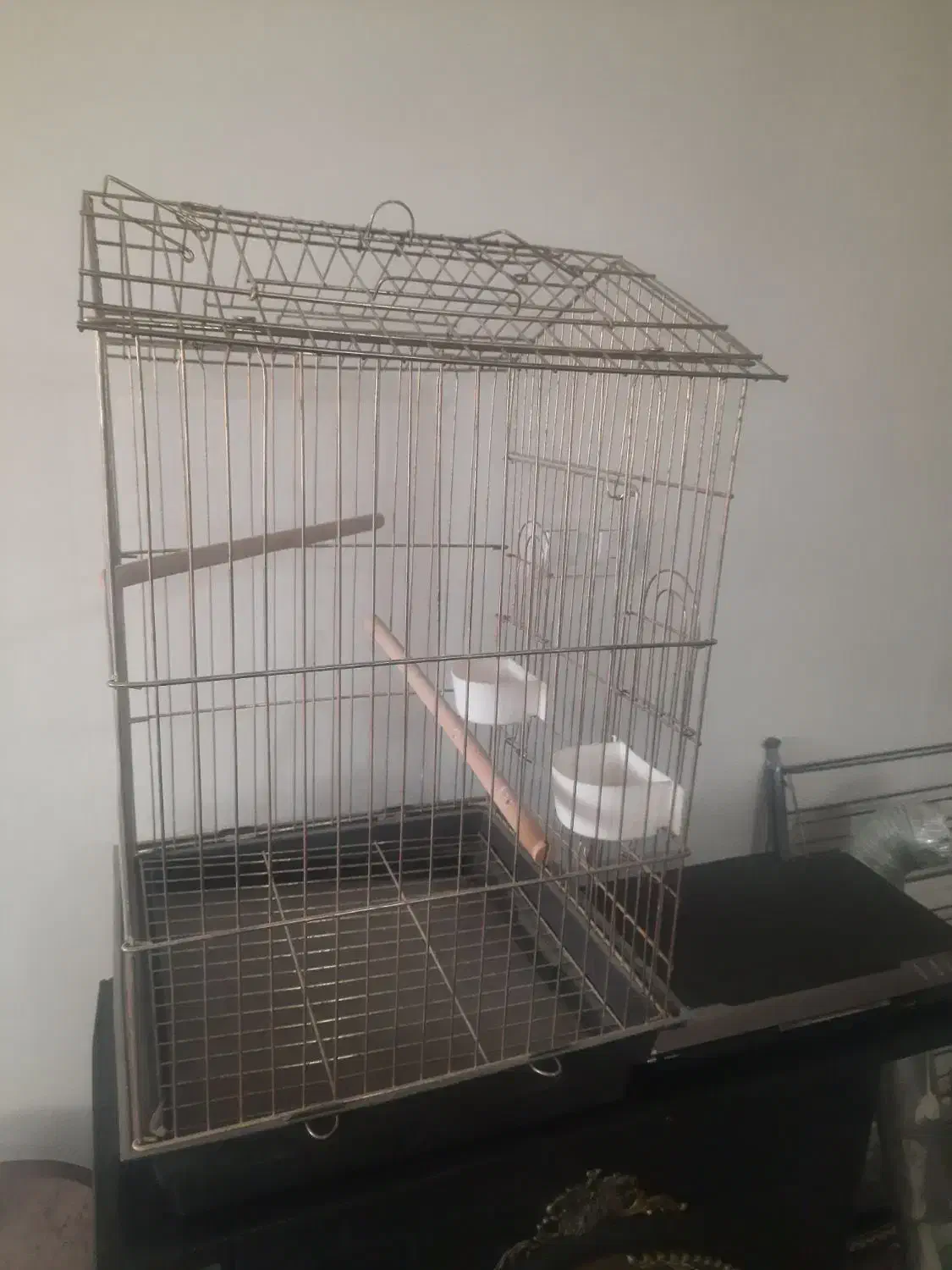 قفص طلایی پرنده عروس هلندی دکوری|لوازم جانبی حیوانات|رباطکریم, شترخوار|دیوار