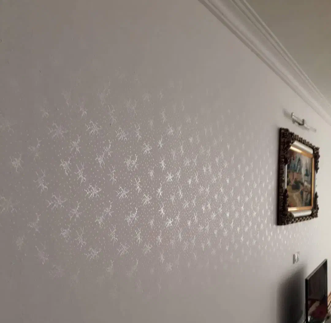 رنگکاری داخل و نما منزل|خدمات پیشه و مهارت|لاهیجان, شهرک فرهنگیان|دیوار