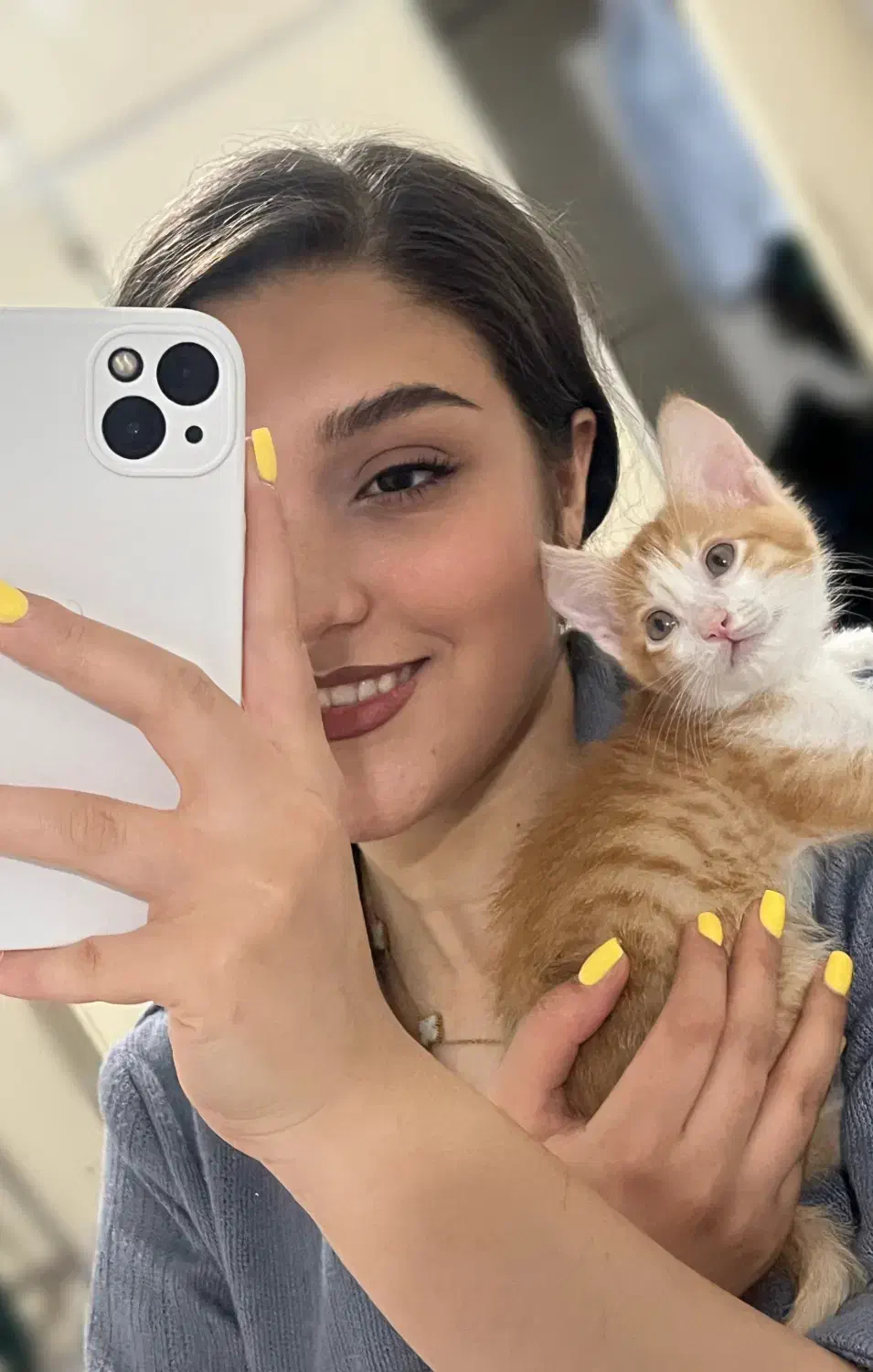 واگذاری بچه گربه|گربه|فردوسیه, |دیوار