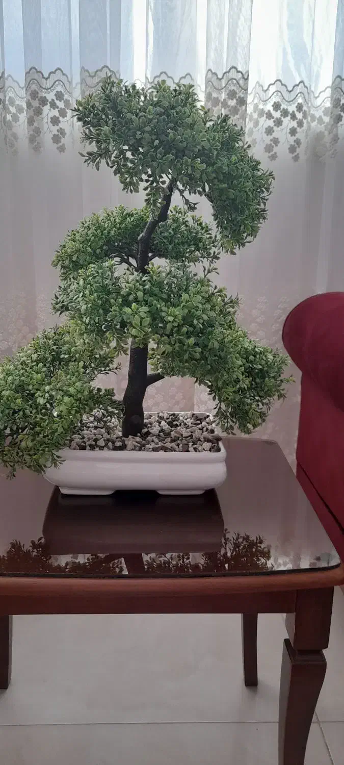 درختچه بونسای مصنوعی|گل مصنوعی|شاهرود, |دیوار