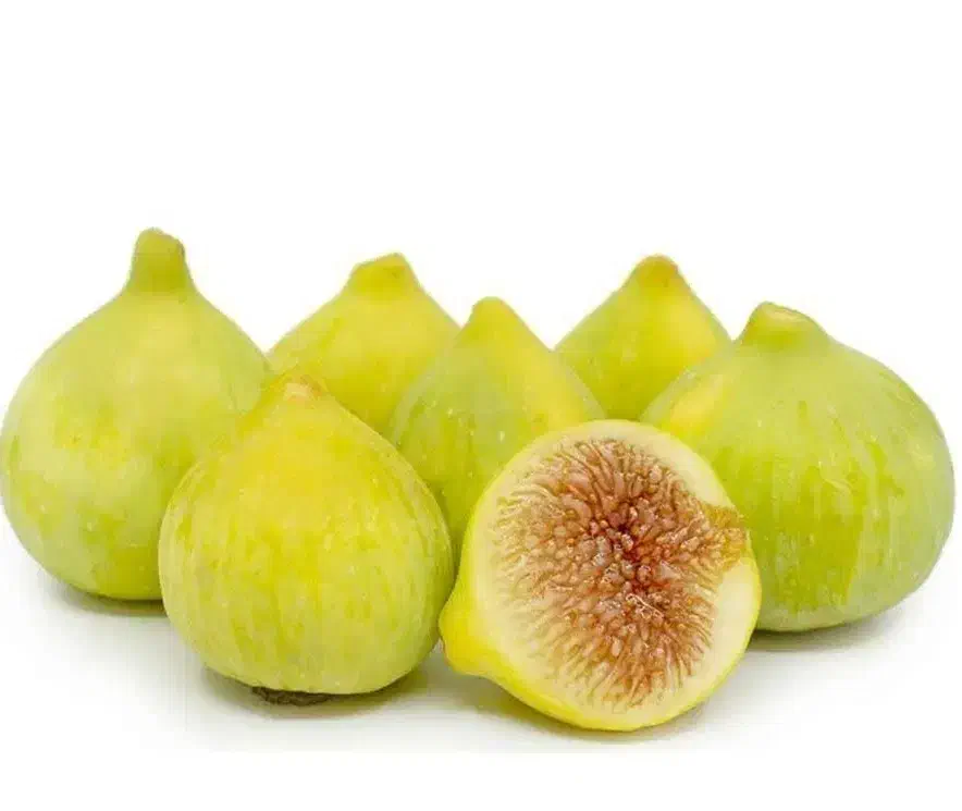 پیشفروش نهال  انجیر عسلی|خدمات باغبانی و درختکاری|ایجرود, |دیوار