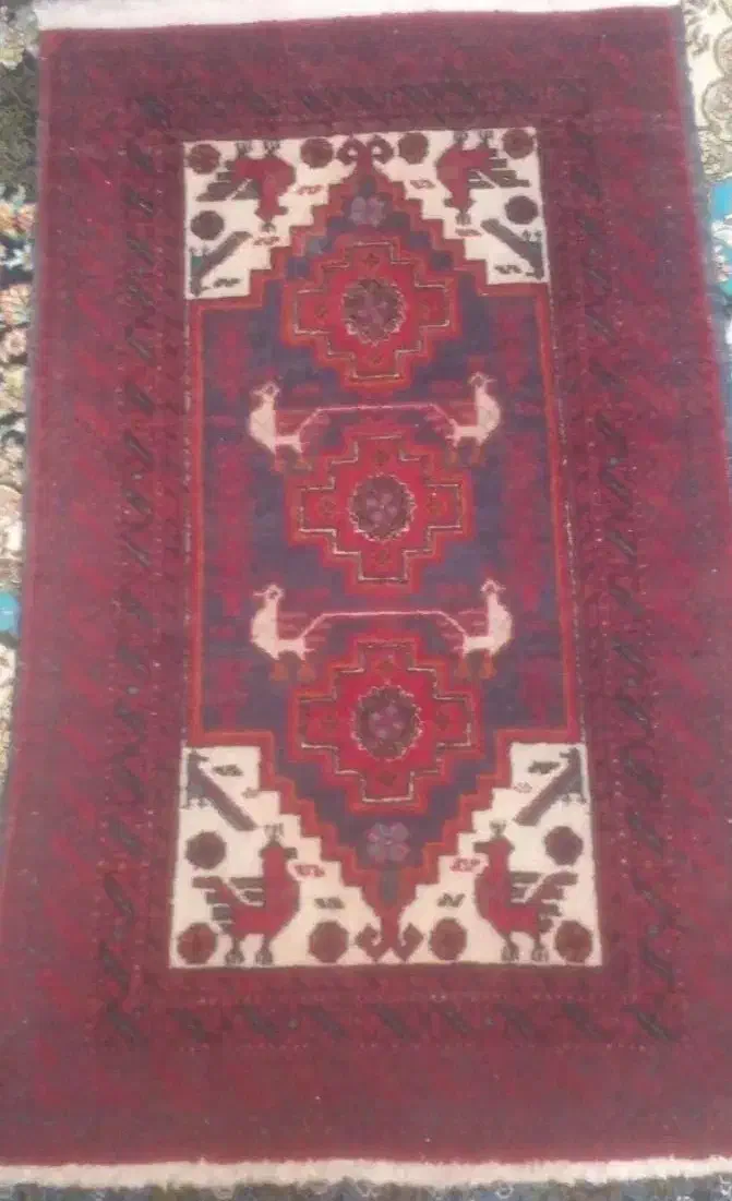 قالی دست بافت|فرش|تربت جام, معدآباد|دیوار