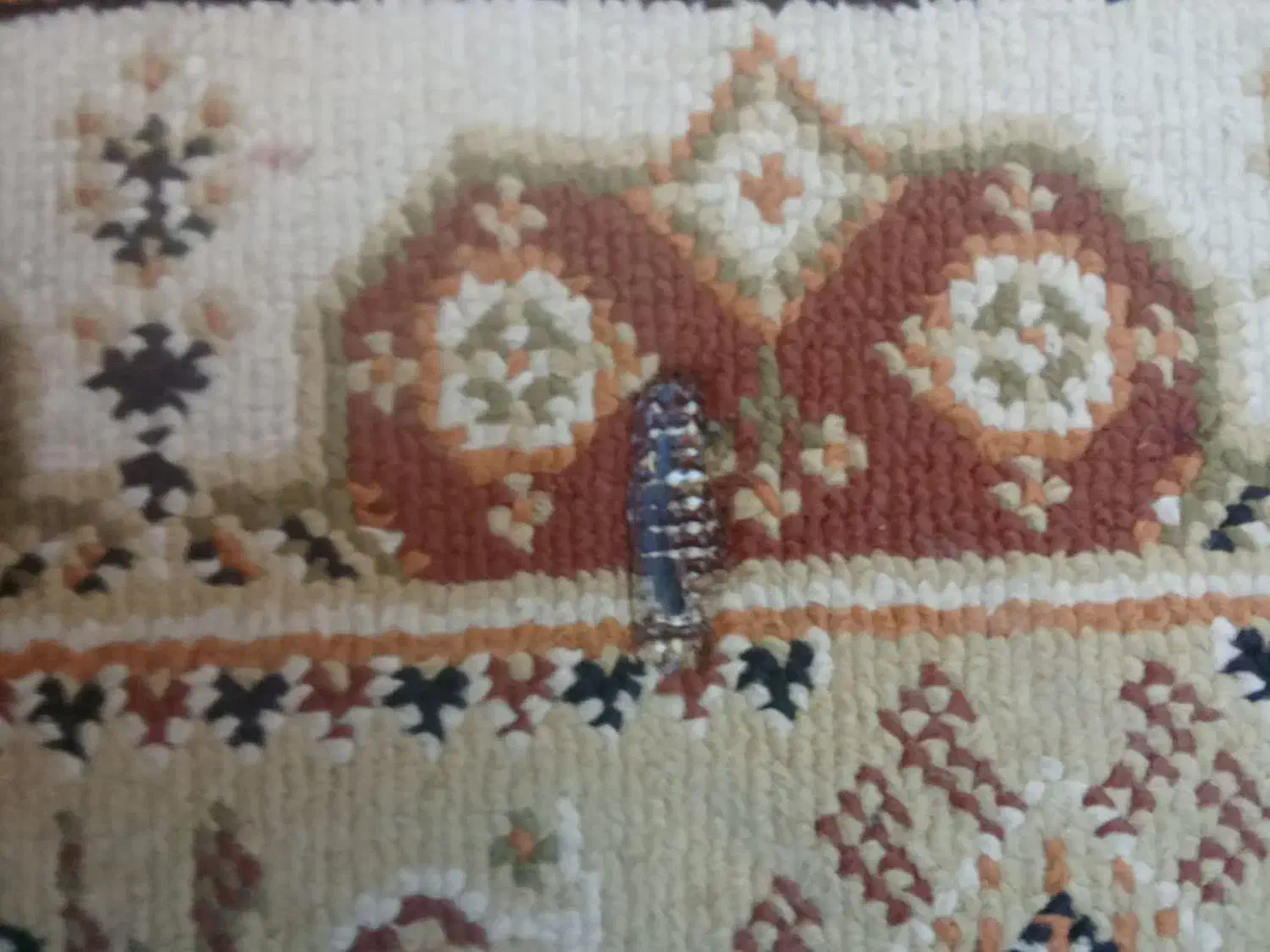 قالیچه گلیمی|گلیم، جاجیم، گبه|مشهد, رضاشهر|دیوار