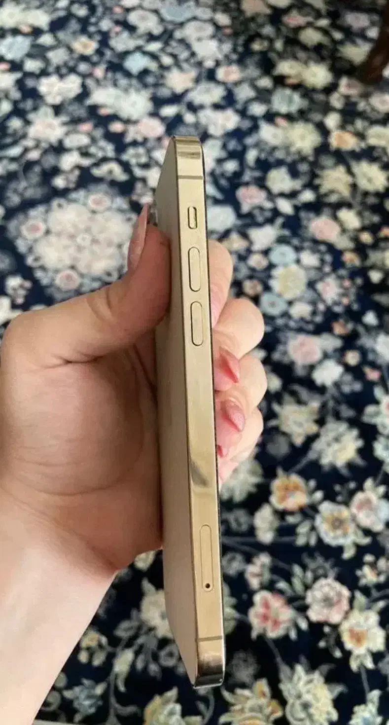 گوشی ایفون|موبایل|شهریار, شهریار|دیوار