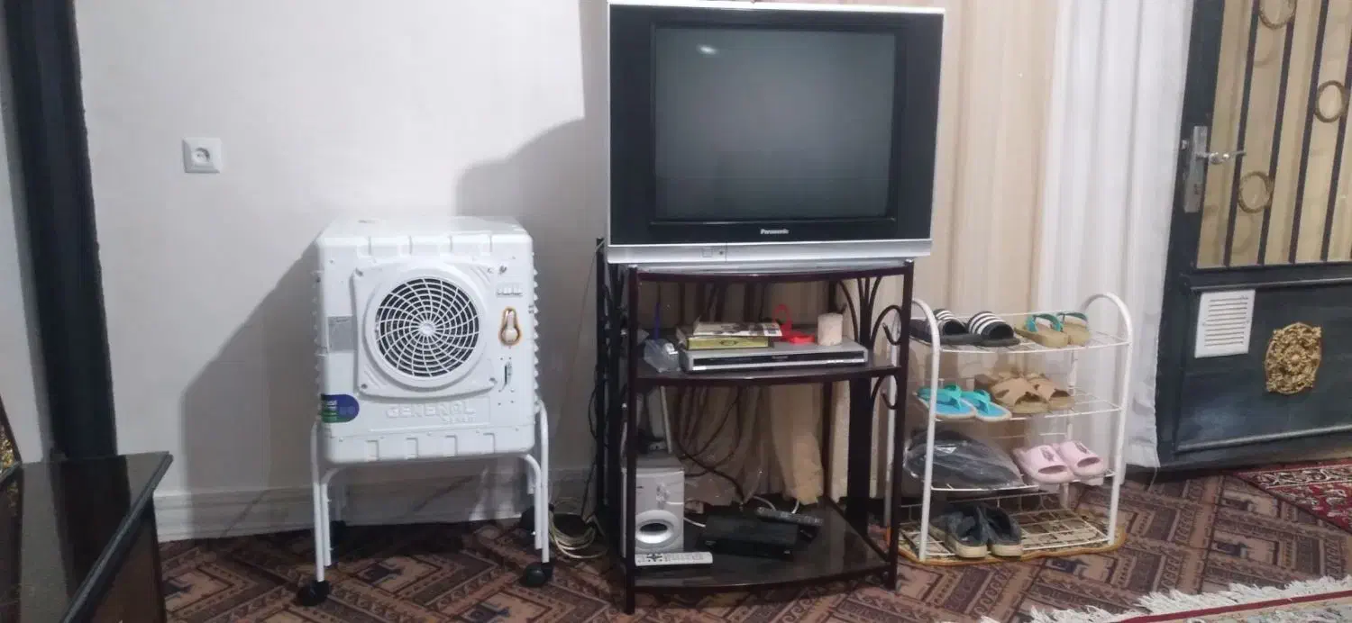 تلویزیون ۲۹ اینچ پاناسونیک با کنترل|تلویزیون و پروژکتور|همدان, |دیوار