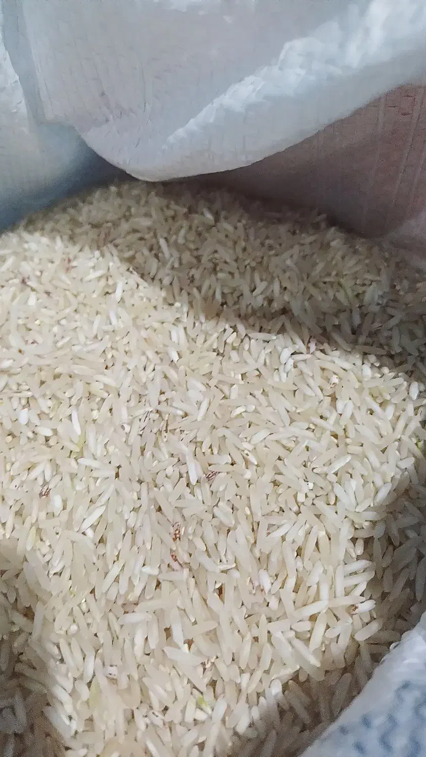 برنج فجر ممسنی|خوردنی و آشامیدنی|شیراز, معالی‌آباد|دیوار